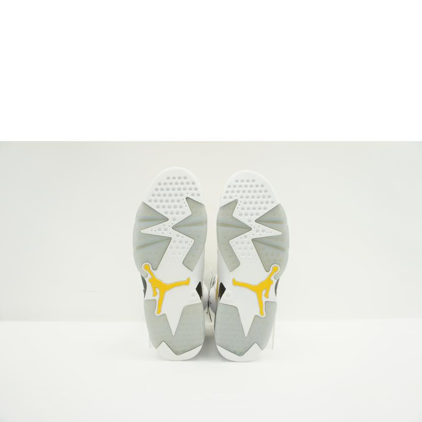 NIKE ナイキ/エアジョーダン6レトロ／イエローオークル/CT8529-170//Aランク/75