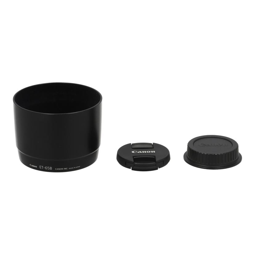 Canon キヤノン　/交換レンズ／70－300mmDO/EF70-300mm F4.5-5.6 DO IS USM//91100354/Bランク/04