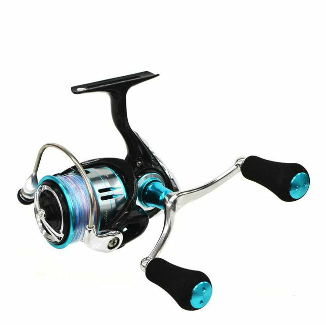 DAIWA ダイワ/19エメ　LT3000S－CH－DH/60103//Aランク/75