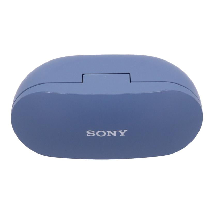 SONY ソニー/ワイヤレスイヤホン/WF-SP800N//5257040/BCランク/05