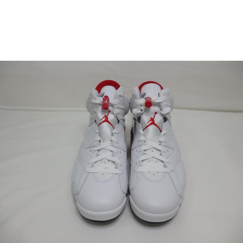 NIKE ナイキ/AIR　JORDAN6／27．0cm/CT8529-162//Sランク/84