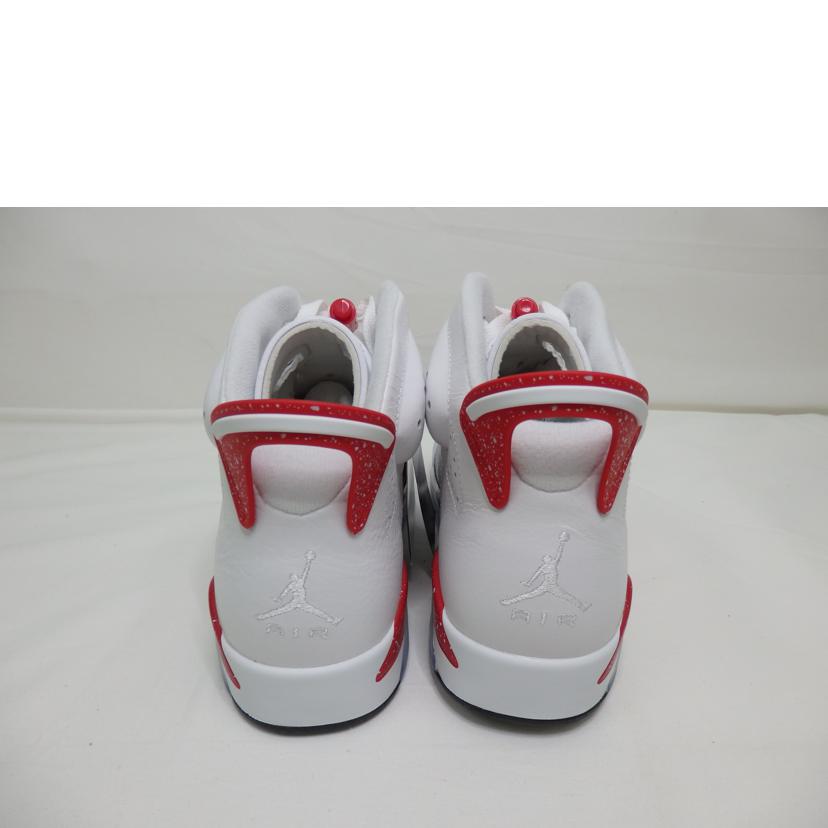 NIKE ナイキ/AIR　JORDAN6／27．0cm/CT8529-162//Sランク/84