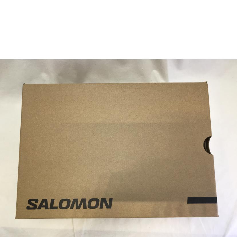 SALOMON サロモン/XA　PRO　3D　V9　GORE－TEX/472770//ABランク/51