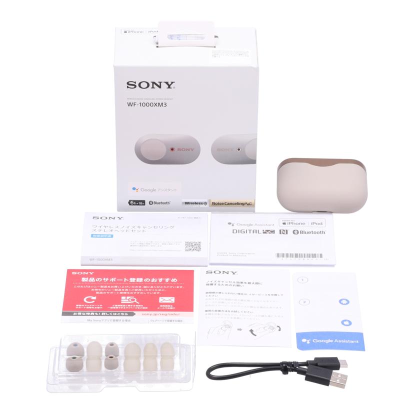 SONY ソニー/ワイヤレスイヤホン/WF-1000XM3//S015897385V/Bランク/63