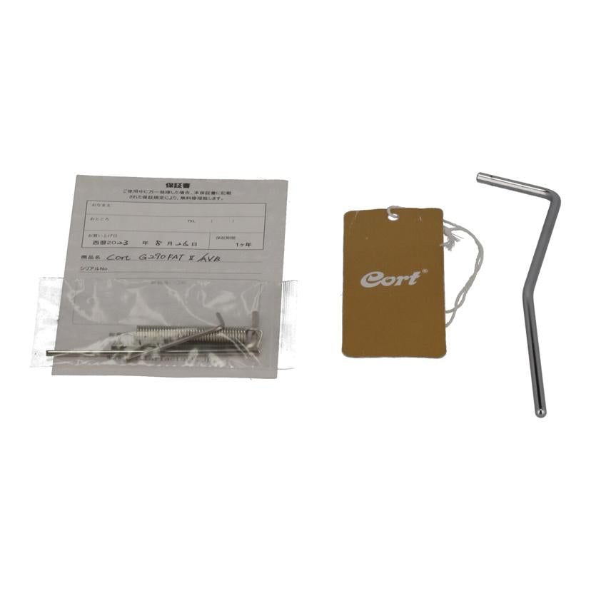 Cort コルト/エレキギター/G290 FAT 2//220307128/Aランク/69