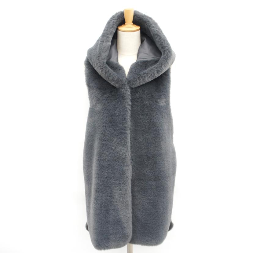 PASSIONE パシオーネ/エコファーベスト//Aランク/75