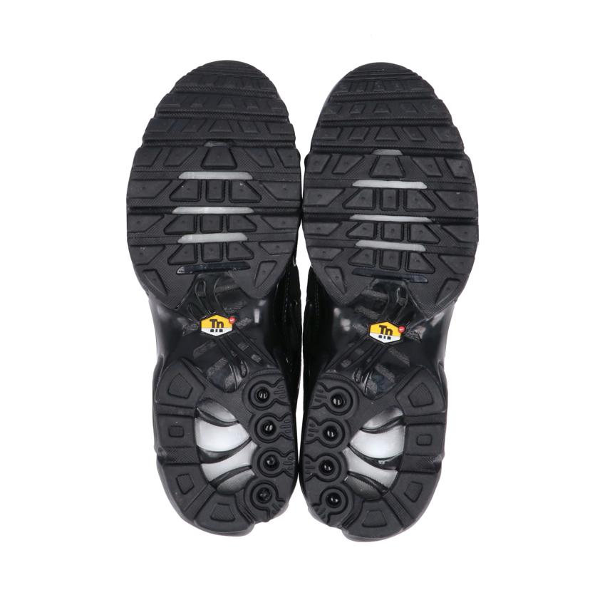 NIKE ナイキ/NIKE　Air　Max　Plus　/604133-050//ABランク/70