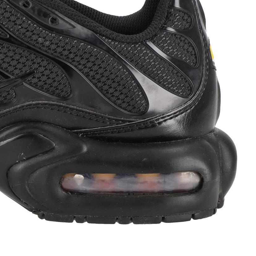 NIKE ナイキ/NIKE　Air　Max　Plus　/604133-050//ABランク/70