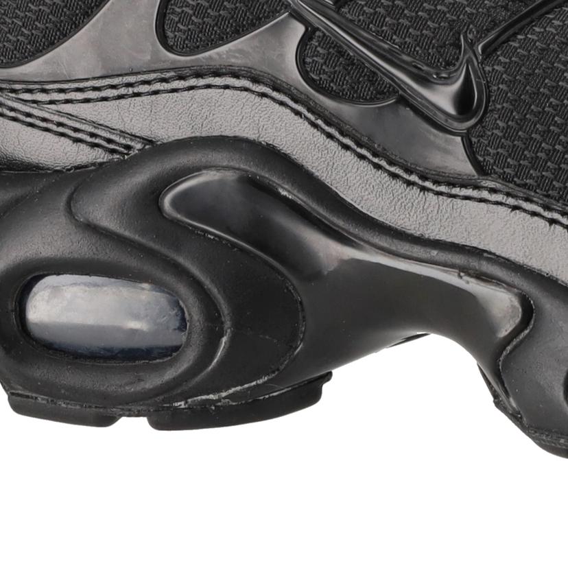 NIKE ナイキ/NIKE　Air　Max　Plus　/604133-050//ABランク/70