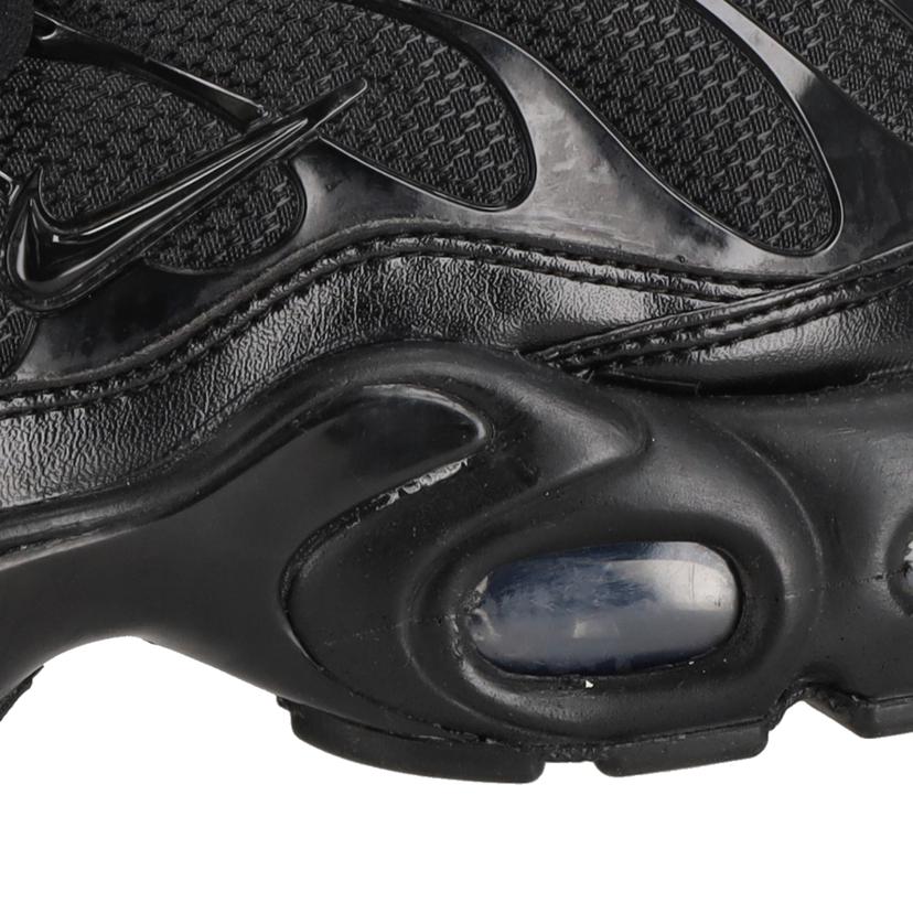 NIKE ナイキ/NIKE　Air　Max　Plus　/604133-050//ABランク/70