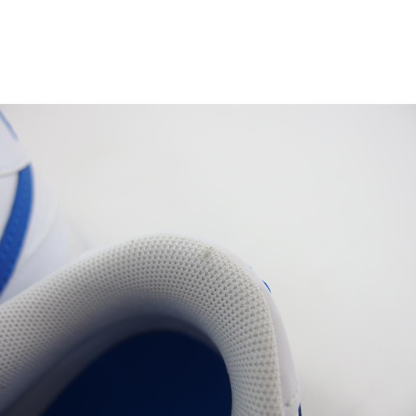 NIKE ナイキ/ダンクローレトロ/DV0831-104//SAランク/04