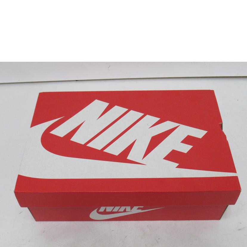 NIKE/ZOOM　AIR／黒＆ピンク/DA2189-002//ABランク/63