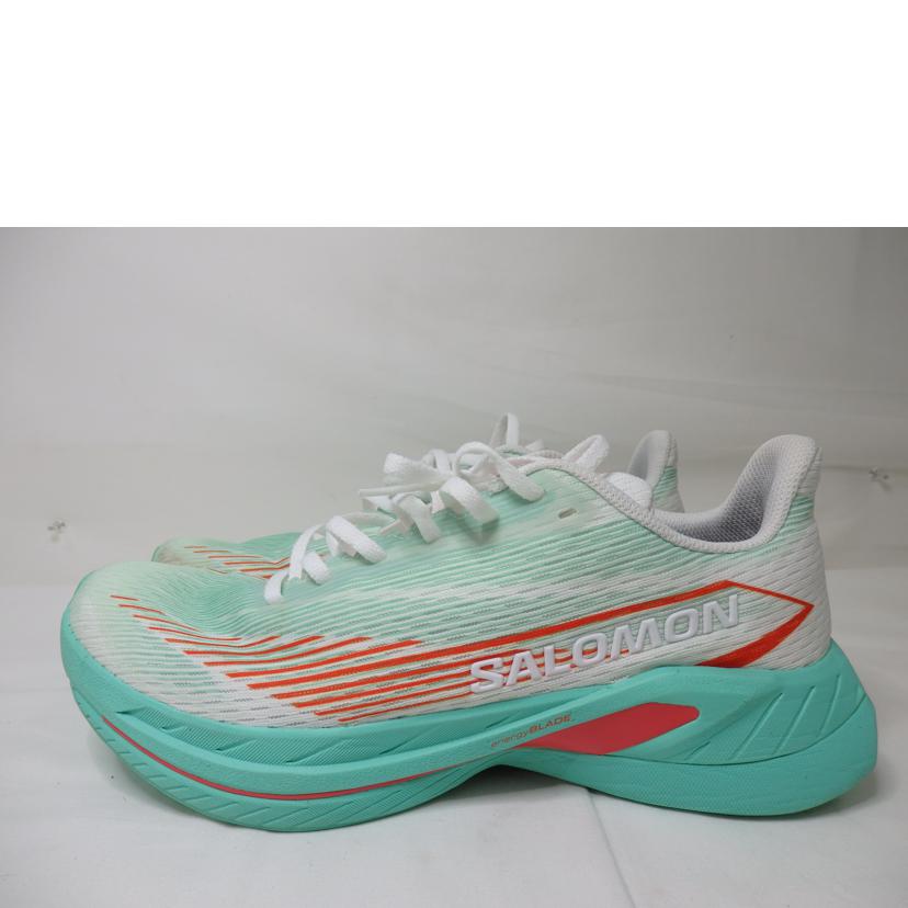 SALOMON　 サロモン/SALOMON　ランニングシューズ　　SPECTUR2／28．5cm/475668//Bランク/84