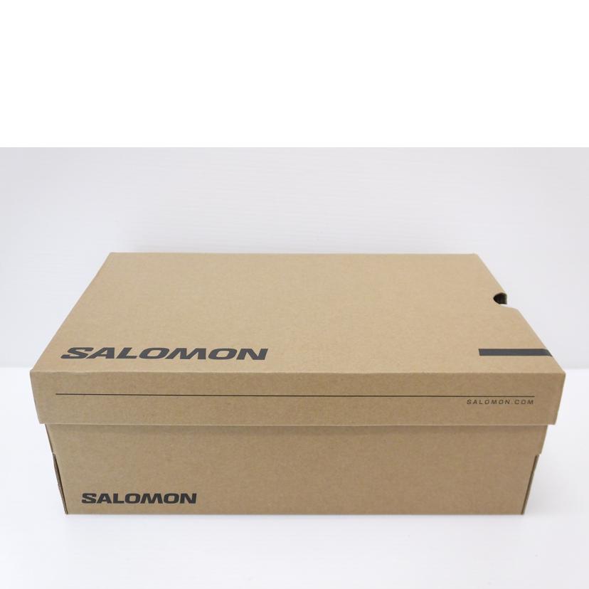 SALOMON サロモン/ACS　PRO　GTX/477364//ABランク/88