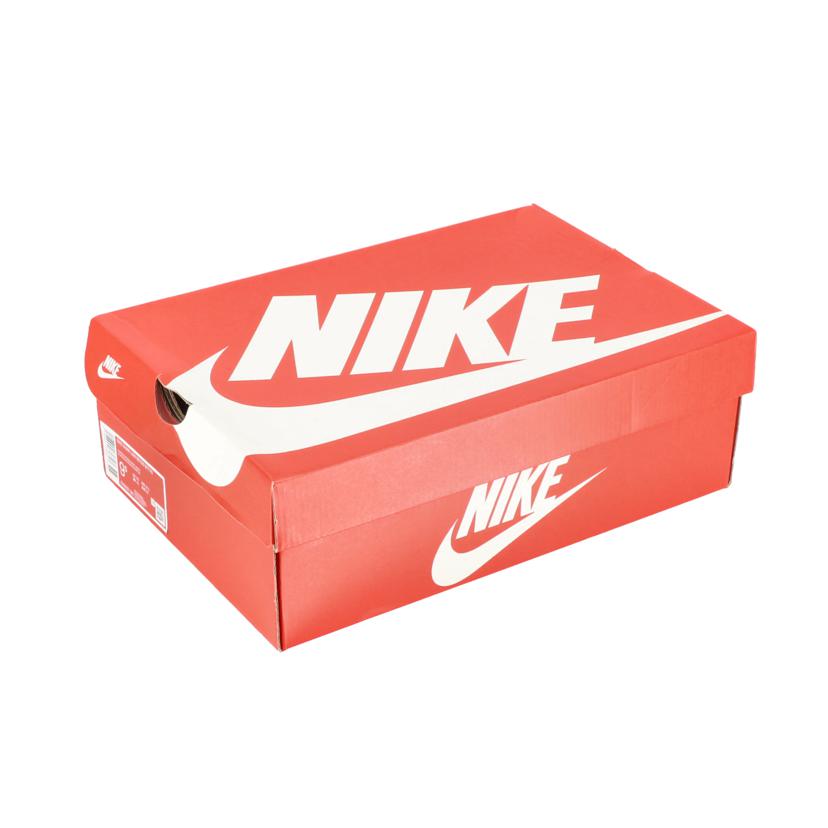 nike ﾅｲｷ/DUNK　LOW　RETRO　BTTYS/DV0833 100//Aランク/93