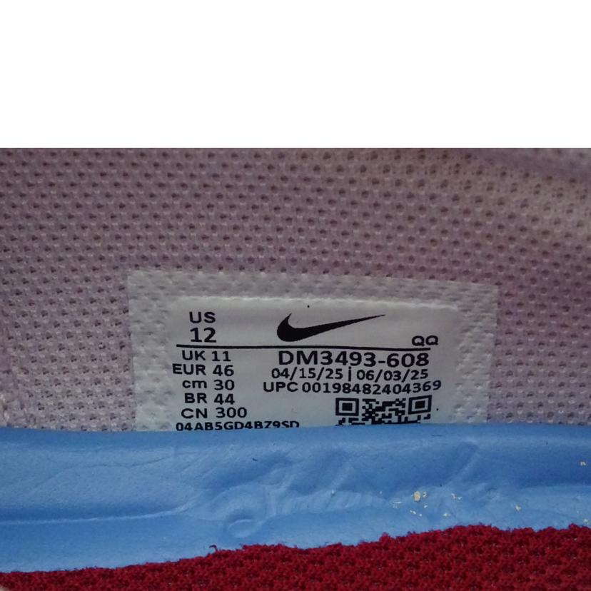 NIKE ナイキ/SB CHRON2/DM3593-608//Sランク/69