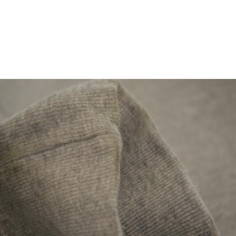 STUSSY ステューシー/ステューシージップパーカー／Lサイズ/118460//Bランク/89
