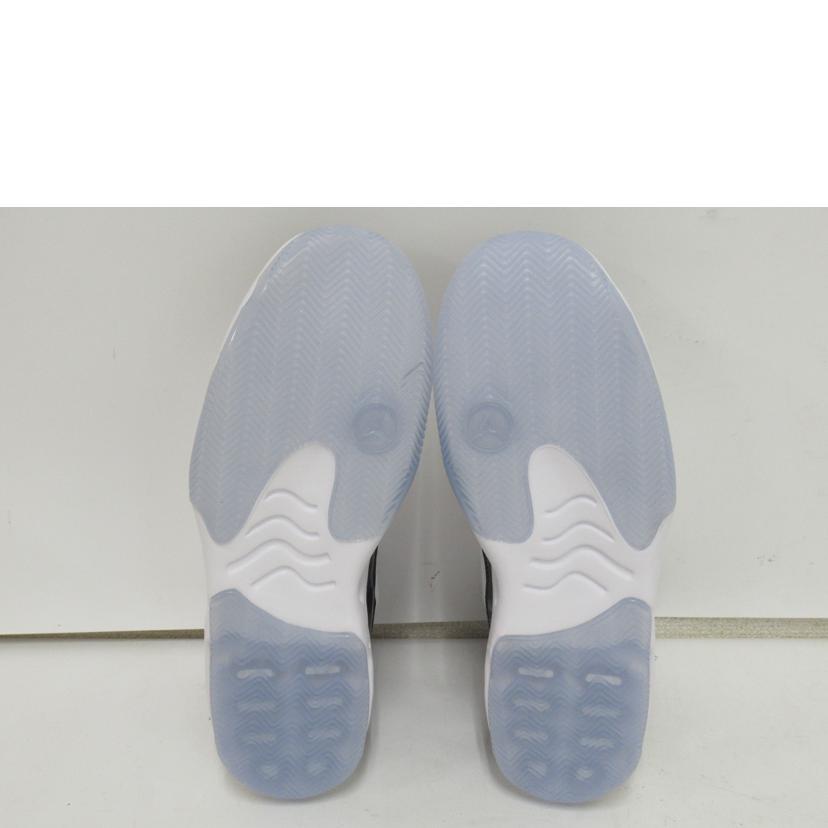 NIKE/JORDAN　MAX　AURA2/CK6636-102//SAランク/63