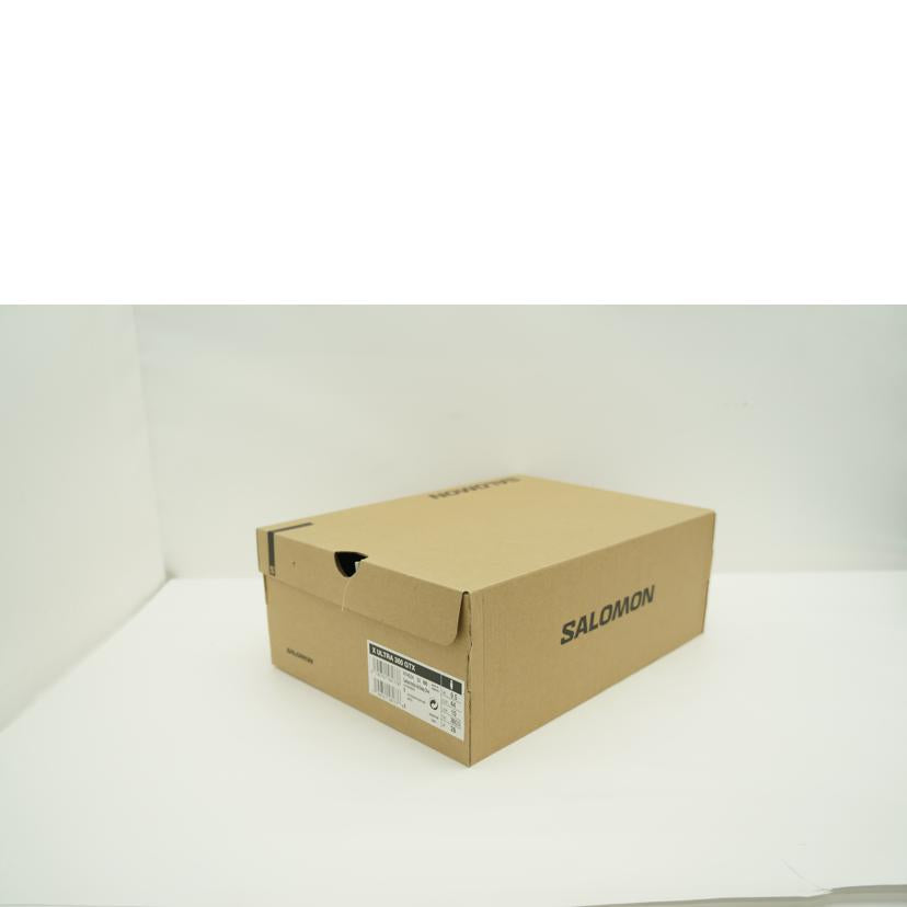 SALOMON サロモン/XULTRA　360GTX/474534//SAランク/75