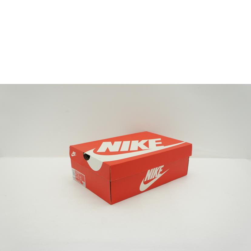 NIKE ナイキ/NIKE CHALLENGER OG/DC5214-422//Sランク/05