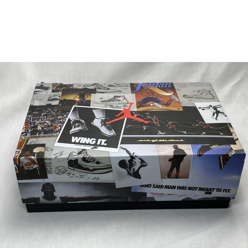 Nike Nike/AIR　JORDAN　3　SE　＂ANIMAL　INSTINCT＂/CK4344-002//Bランク/52