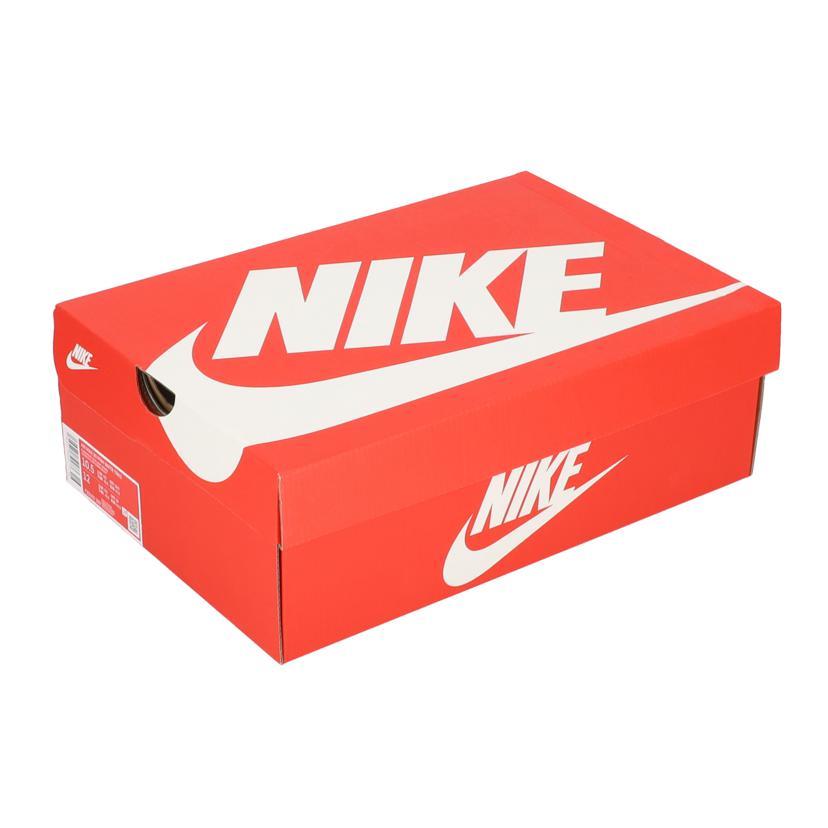 NIKE ナイキ/AIR　MAX　90　PRM　WNNTR　TRK3/FZ5102-299//00196975850273/Aランク/85