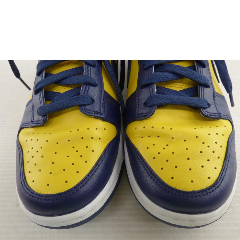 NIKE ナイキ/NIKE　　ダンクローレトロ/DD1391-700//ABランク/64