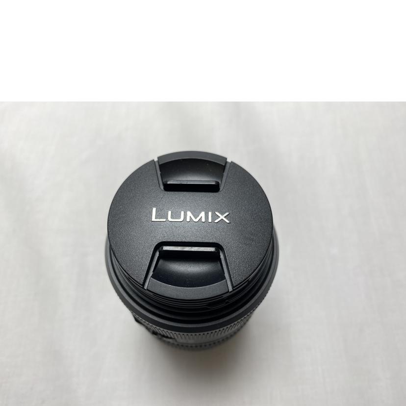 Panasonic パナソニック/超広角レンズ/H-FS045200//XT0DA006345/Bランク/52