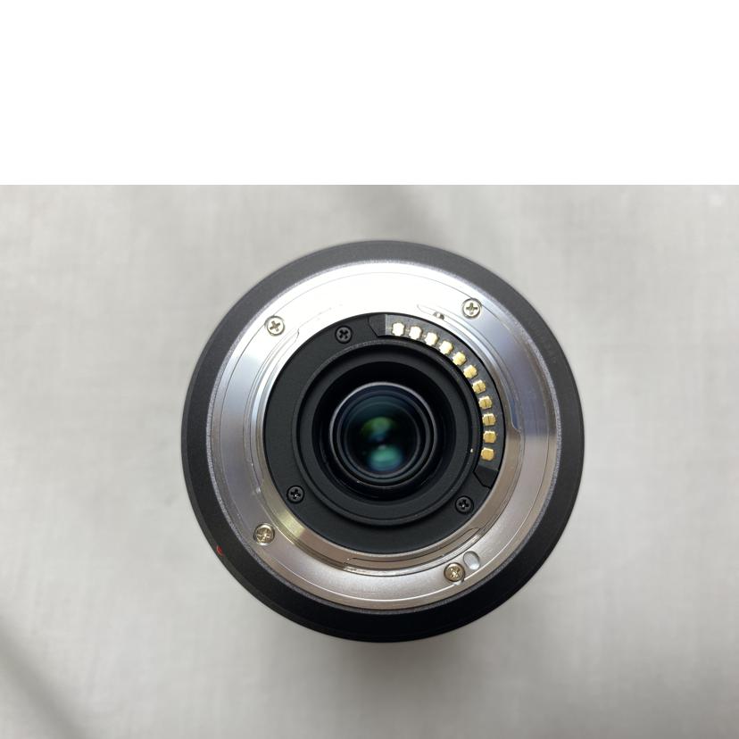 Panasonic パナソニック/超広角レンズ/H-FS045200//XT0DA006345/Bランク/52