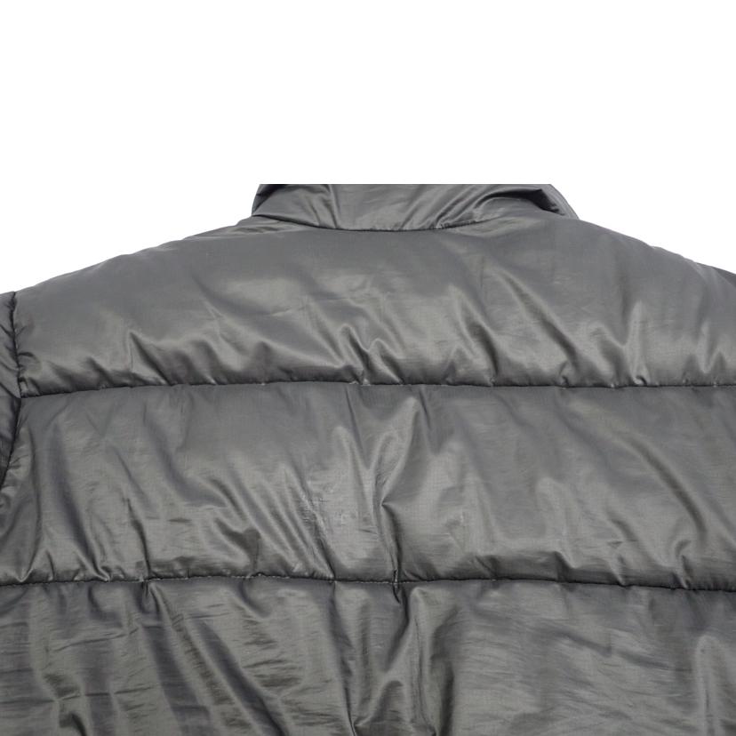 THE　NORTH　FACE THE NORTH FACE/★THE　NORTH　FACE　ラークスパーjkt/NY82031//L/BCランク/62