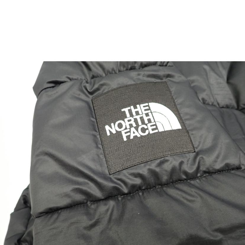 THE　NORTH　FACE THE NORTH FACE/★THE　NORTH　FACE　ラークスパーjkt/NY82031//L/BCランク/62