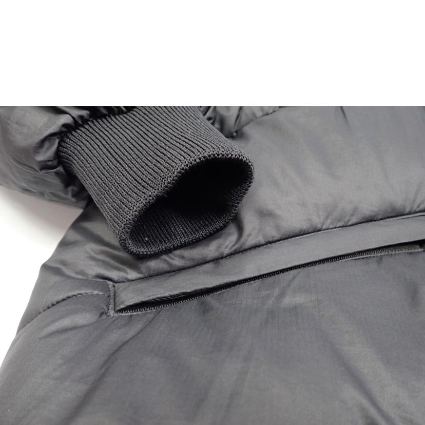 THE　NORTH　FACE THE NORTH FACE/★THE　NORTH　FACE　ラークスパーjkt/NY82031//L/BCランク/62