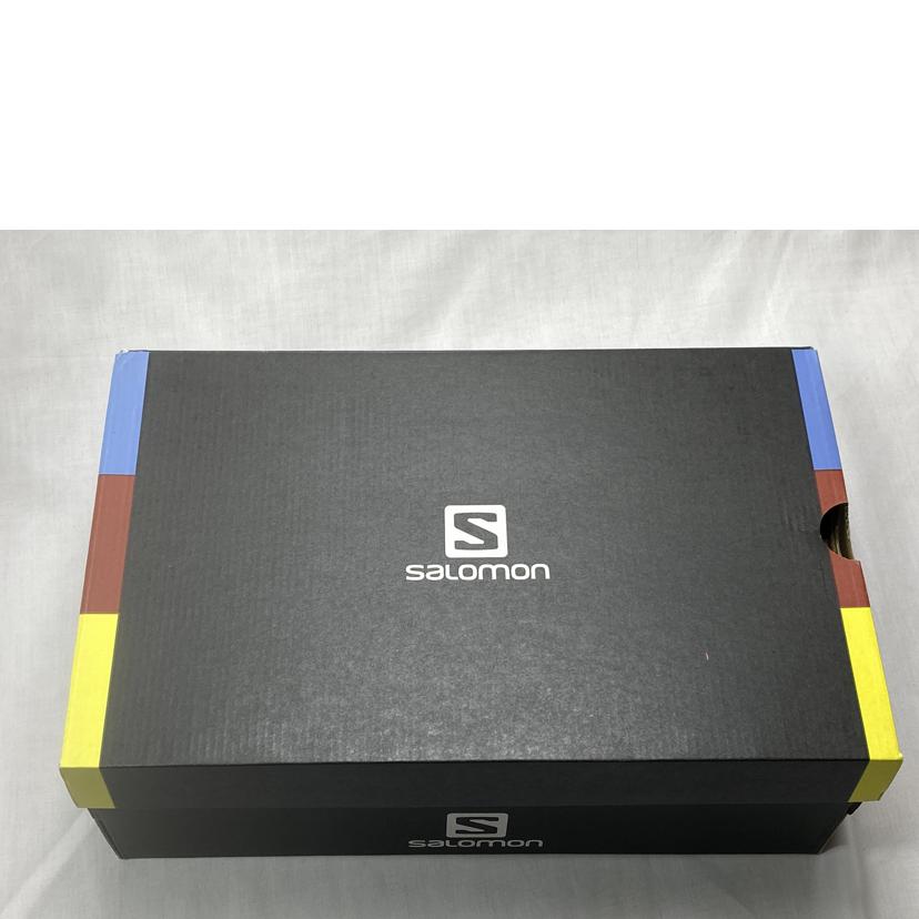 Salomon サロモン/SHELTER　LOW　LEATHER/414668//Aランク/52