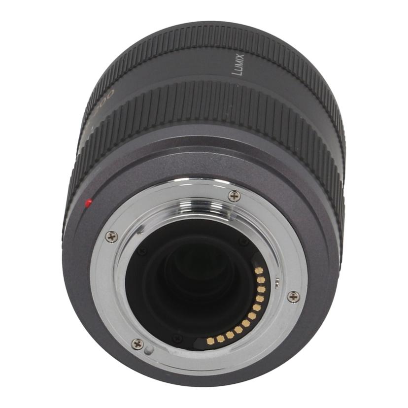 Panasonic パナソニック　/交換レンズ／45－200mm/H-FS045200//XT0LB002225/Bランク/71