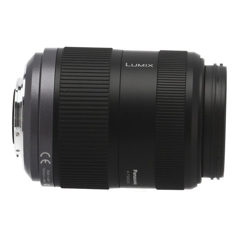 Panasonic パナソニック　/交換レンズ／45－200mm/H-FS045200//XT0LB002225/Bランク/71