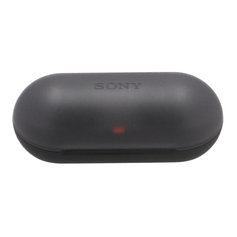 SONY ソニー/ワイヤレスイヤホン/WF-C500//1024829/Bランク/62