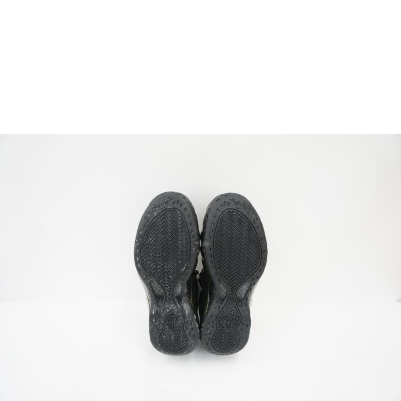 NIKE ナイキ/エアフォームポジット1/314996-301//SAランク/18