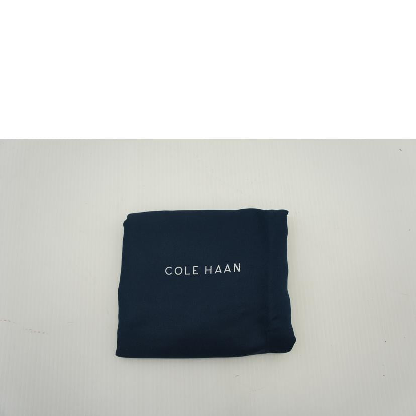 COLE　HAAN コールハン/ミニホーボーバッグ/U06751//Sランク/75