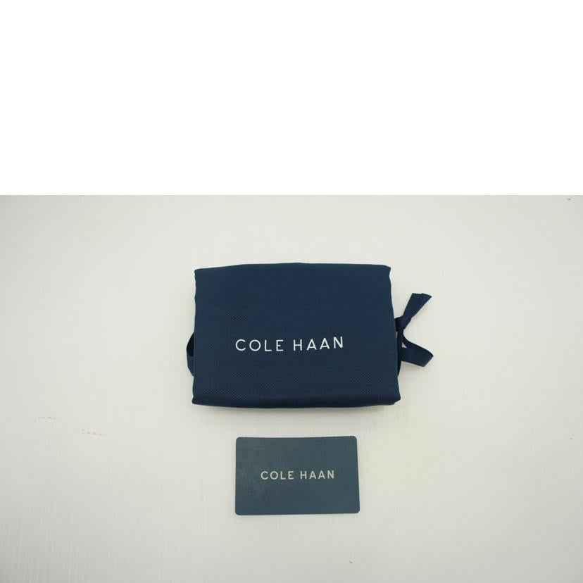COLE　HAAN コールハン/ミニショルダーバッグ/U06716//Sランク/75