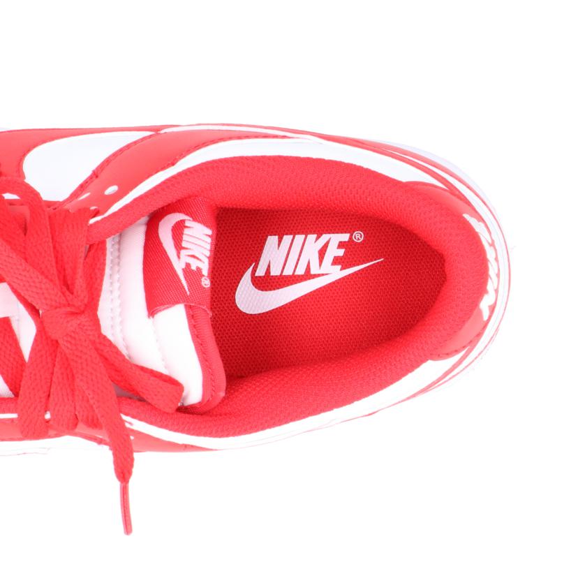NIKE ナイキ/DUNK LOW RETRO/HF5441-104//Aランク/24
