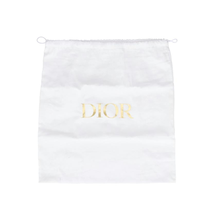 Dior　 ディオール/レディD－ライト　ミディアムキャンバス2way/M0565ORFQ//50-*******/Aランク/75