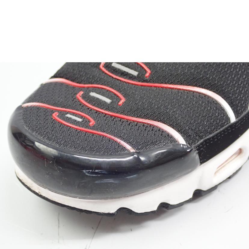 NIKE ﾅｲｷ/AIR　MAX　PLUS/DM0032-004//28.0cm/Bランク/62