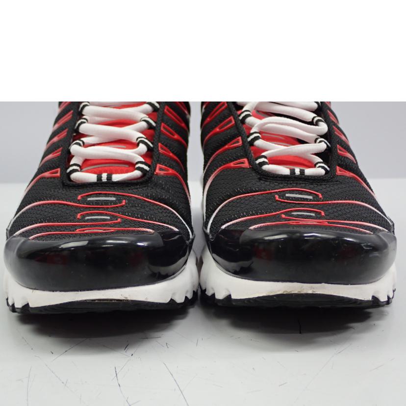 NIKE ﾅｲｷ/AIR　MAX　PLUS/DM0032-004//28.0cm/Bランク/62