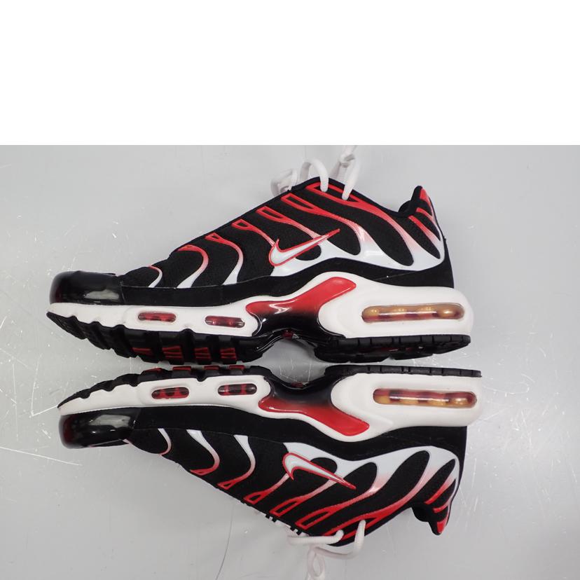 NIKE ﾅｲｷ/AIR　MAX　PLUS/DM0032-004//28.0cm/Bランク/62
