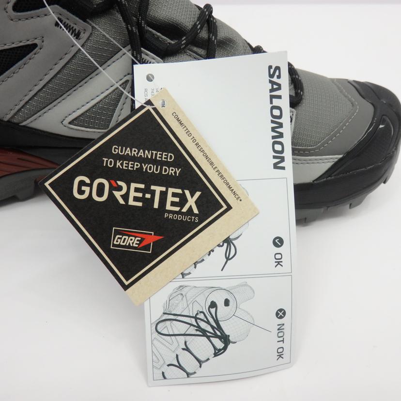 SALOMON/X　ULTRA　360　MID　GTX/474478//SAランク/77