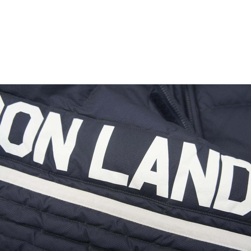 AVIREX アヴィレックス/AVIREXミリタリーダウンジャケット//Bランク/78