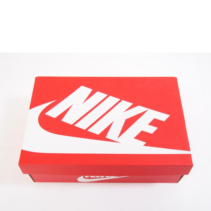 NIKE ナイキ/DUNK　HIGH　RETRO/DD1399-105//-/Sランク/71