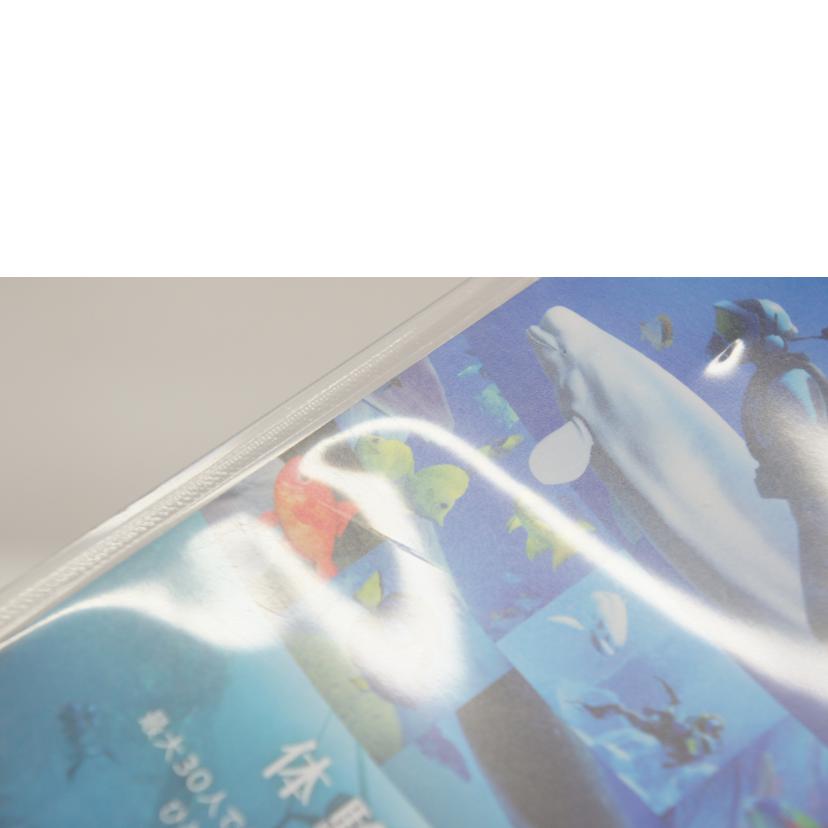 Nintendo 任天堂/フォーエバーブルー　ルミナス／SWITCH//Bランク/05