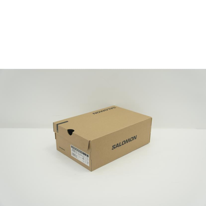 SALOMON サロモン/X　ULTRA　360　EDGE　GTX　トレッキングシューズ／27．0cm／アーモンドミルク/478168//Sランク/01