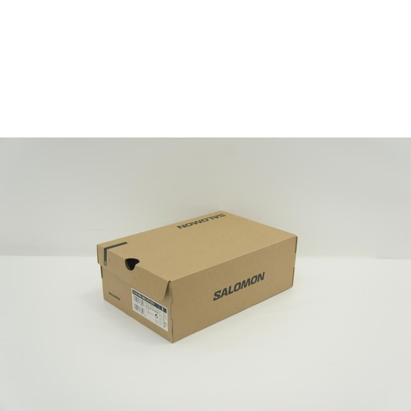 SALOMON サロモン/X　ULTRA　360　LTR　GTX　トレッキングシューズ／26．0cm／ブラウン×カーキ/475712//Sランク/01